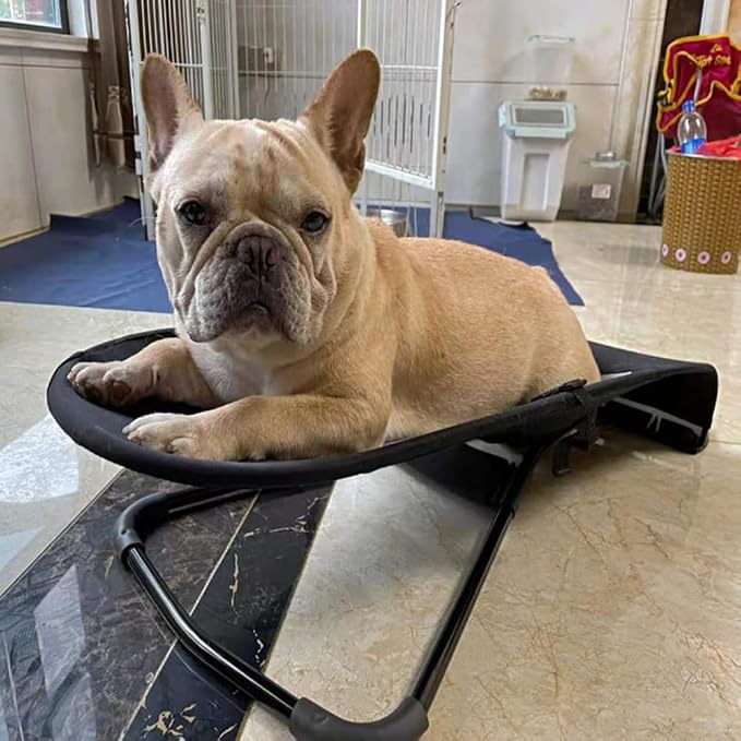 Dog Rocking Chair, Portable Pet Hammock, Small Dog Pet Bed, Portable Elevated Cat Bed, Outdoor Swing for Small Pet Rocking Bed