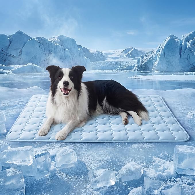 Cooling Mat for Dogs, Waterproof Reversible Pet Cooling Pad with Ice Silk & Soft Velvet, Washable Summer Pet Blanket for Couch, Bed, Crate, Floor, Car Seat